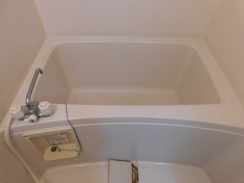 バス・シャワールーム　※内装写真は別室のものです。