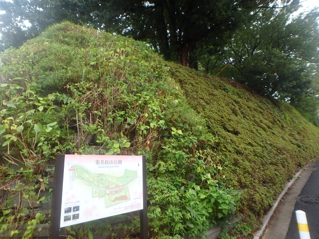 公園　菊名桜山公園（公園）まで273m