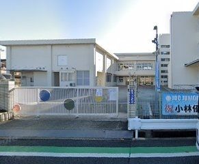 小学校　津田小学校（小学校）まで400m