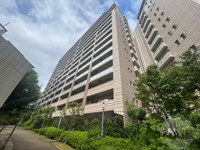 建物外観　１７階建てのＲＣ造です