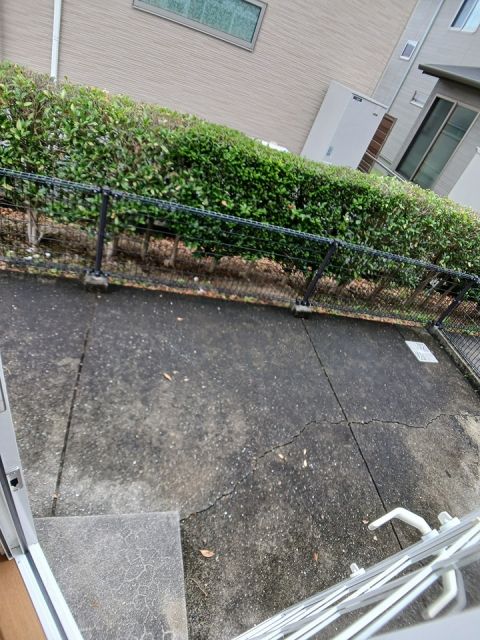 庭