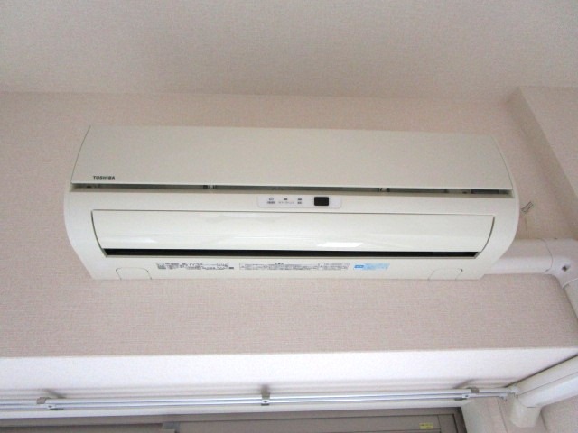 その他　季節の必須アイテムです。