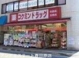 ドラックストア　コクミンドラッグ井尻店（ドラッグストア）まで337m