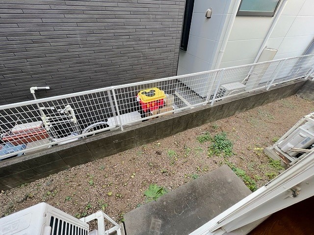 庭