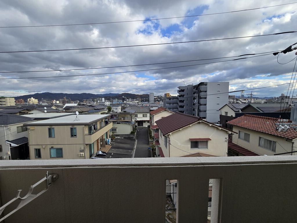 Plumeriaのその他写真