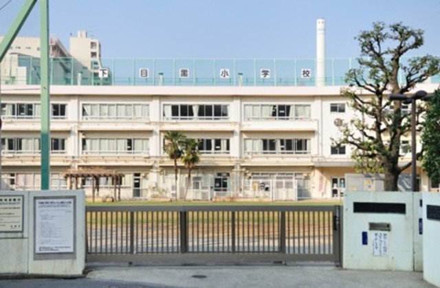 小学校　目黒区立下目黒小学校（小学校）まで487m