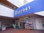 ドラックストア　LIFORT高浜店（ドラッグストア）まで575m