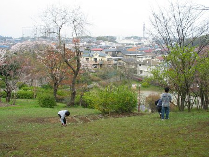 公園　今井の丘公園（公園）まで332m