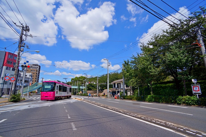 公園　飛鳥山公園（公園）まで554m