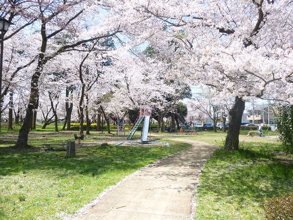 公園　三里塚公園（公園）まで250m
