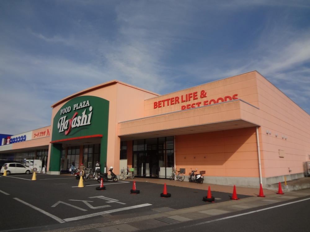 スーパー　フードプラザハヤシ成東店（スーパー）まで3807m