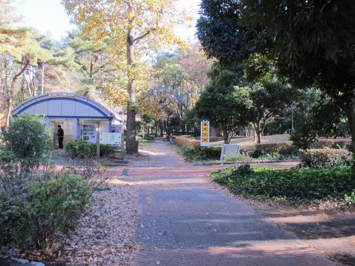 公園　赤塚公園（公園）まで613m