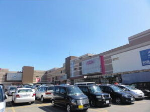 スーパー　イオン札幌発寒店（スーパー）まで805m