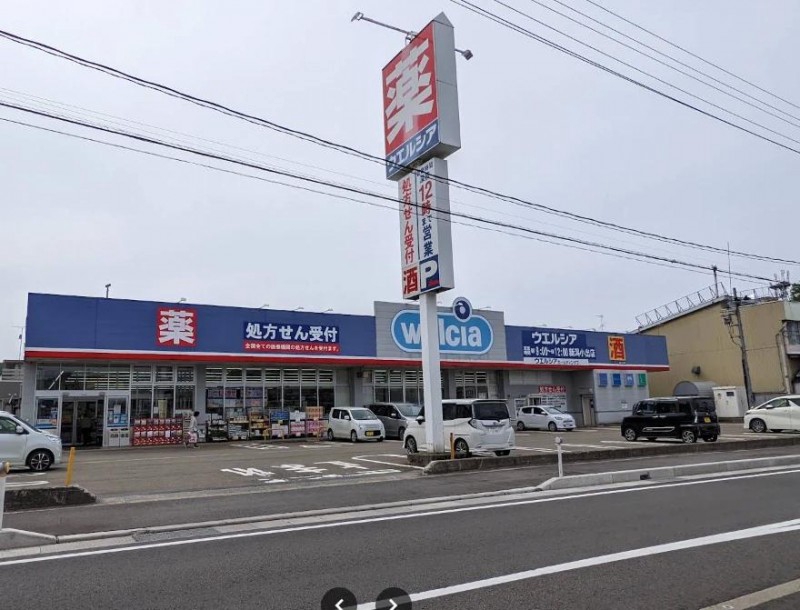 ドラックストア　ウエルシア新潟小出店（ドラッグストア）まで1172m