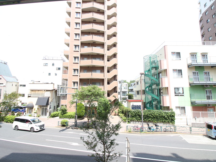 シルキーラスターのその他写真