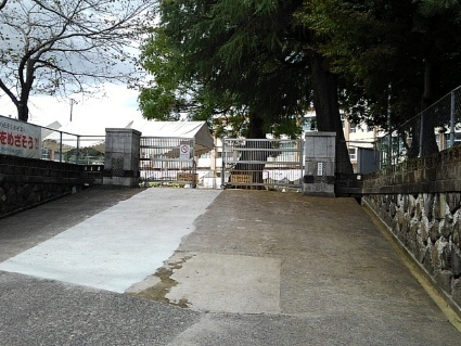 小学校　向花小学校（小学校）まで150m