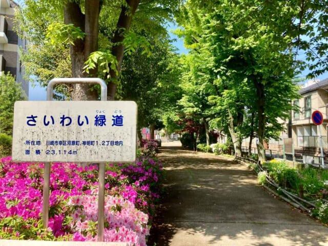 公園　さいわい緑道（公園）まで530m