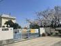 小学校　宝塚市立 安倉小学校（小学校）まで779m