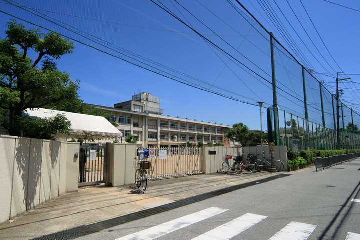 小学校　石橋小学校（小学校）まで447m
