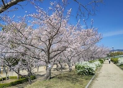 【アバンツァートの公園】