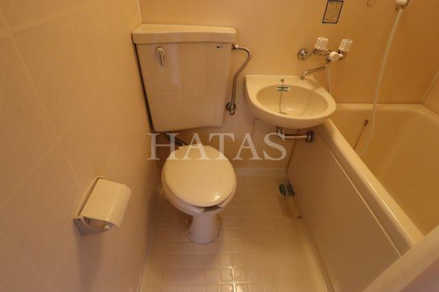 トイレ　同物件別部屋です。