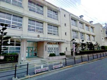 小学校　深江小学校（小学校）まで634m