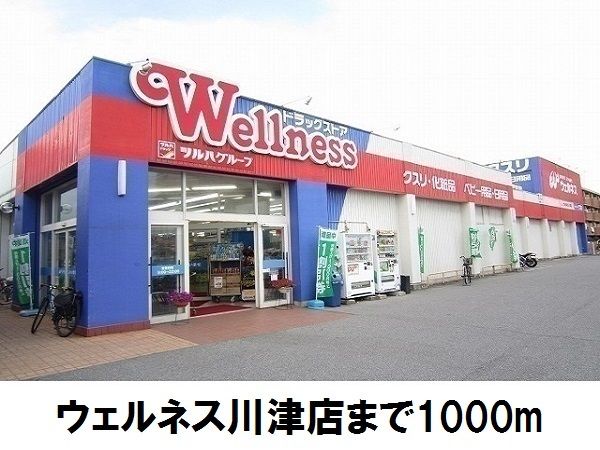 ドラックストア　ウェルネス川津店（ドラッグストア）まで1000m