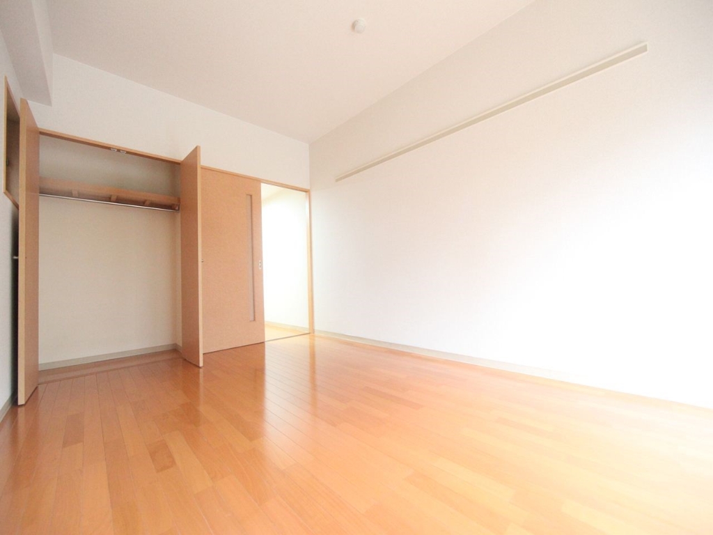 居室・リビング　洋室9.1帖　クローゼット（収納充実してます）