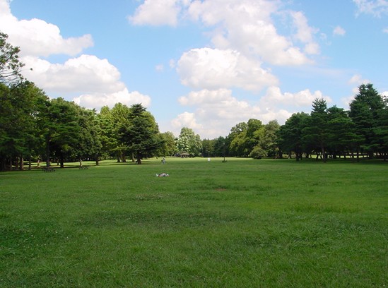 公園　滝野川公園（公園）まで1031m