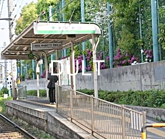 その他　巣鴨新田（その他）まで1571m