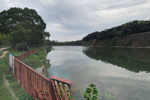 公園　大阪城桃園（公園）まで702m