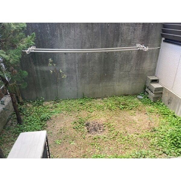 庭