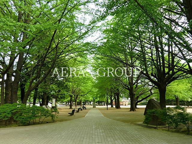 公園　板橋区平和公園（公園）まで586m