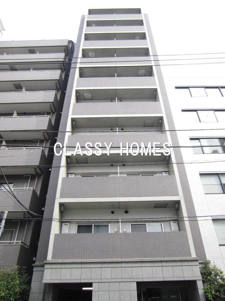 建物外観　2008年竣工　賃貸マンション：外観