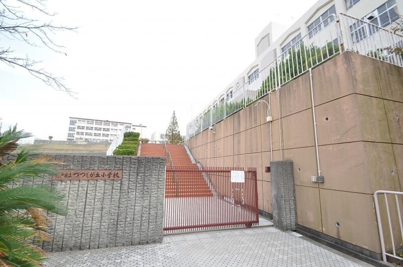 小学校　神戸市立つつじが丘小学校（小学校）まで942m