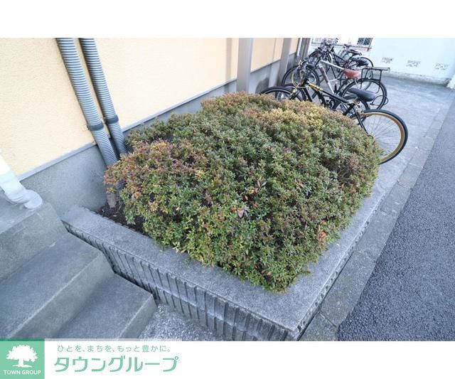庭
