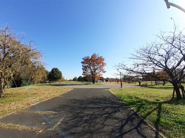 公園　舎人公園（公園）まで750m