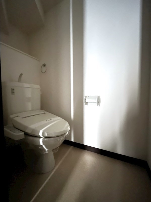 グリーン・ルーエ Iのトイレ写真