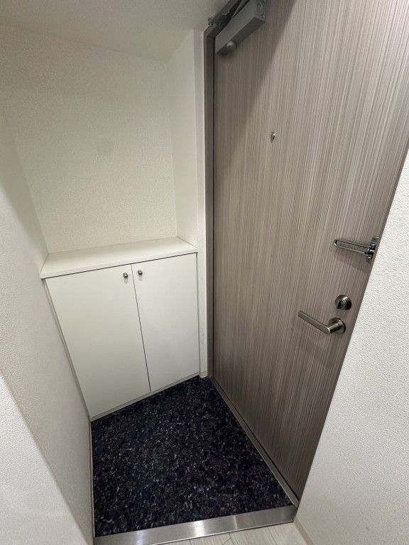 ブリリアントコート農人橋の玄関写真