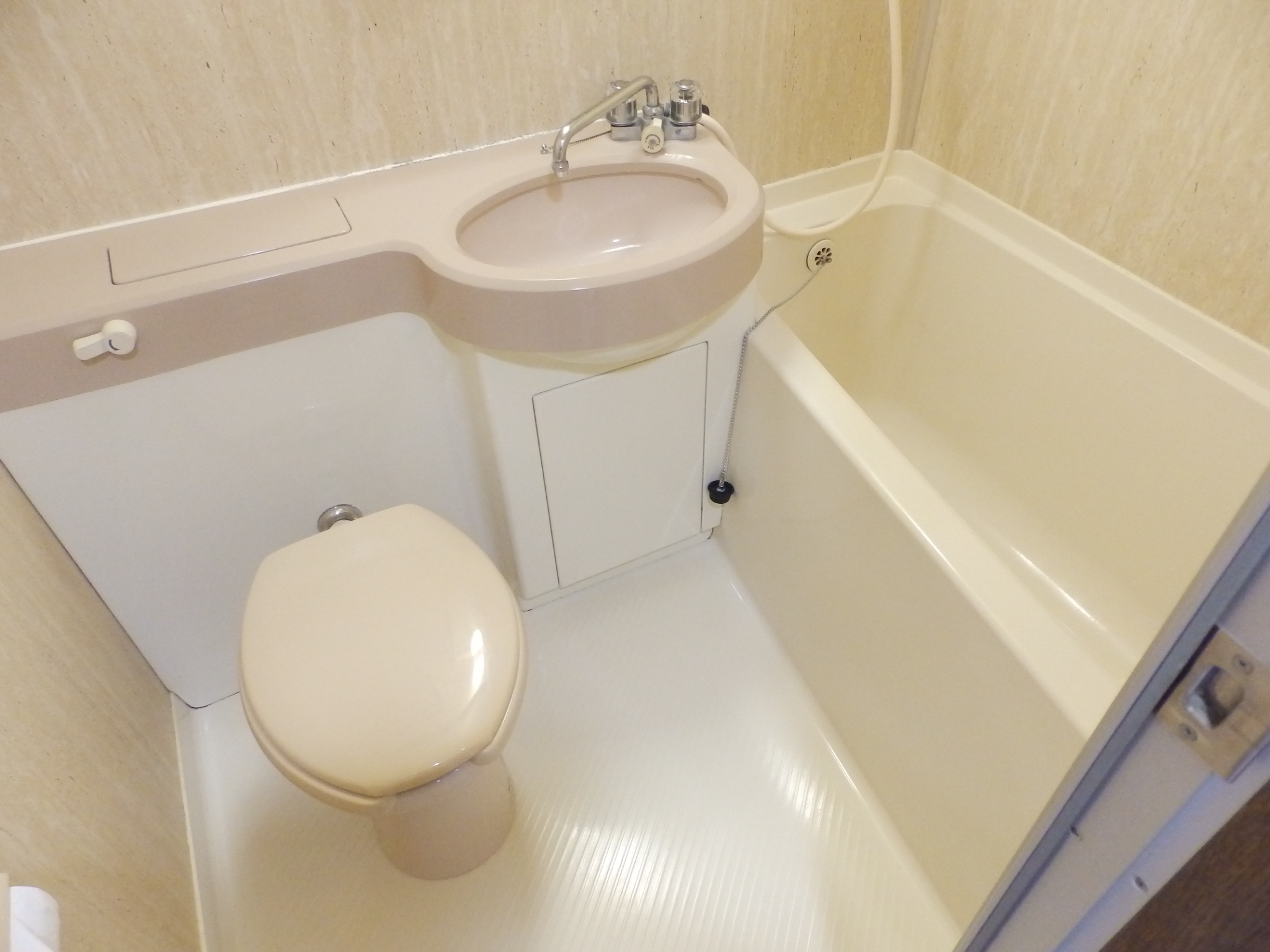 トイレ　ユニットバスだけ我慢してください