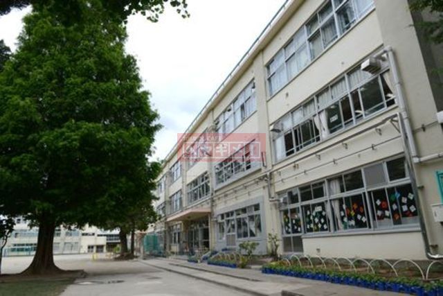 小学校　杉並区立杉並第一小学校（小学校）まで239m