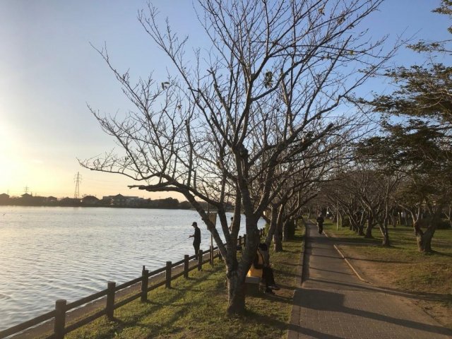 【袋公園ハウスのその他】