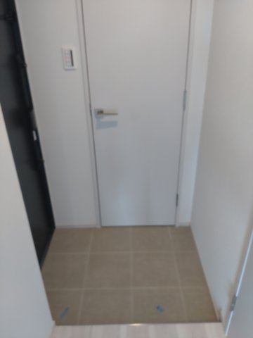 玄関　※同タイプ参考写真です（ash）