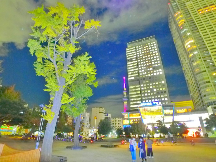 公園　錦糸公園（公園）まで540m