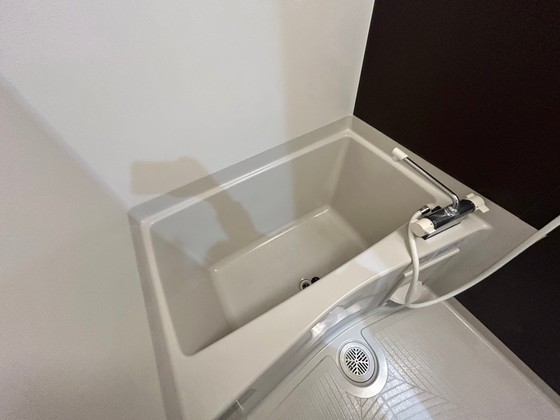 バス・シャワールーム　※別部屋の写真です