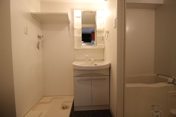 洗面設備　※別号室のお写真です。