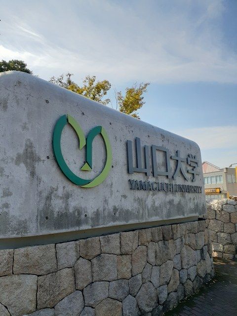 大学・短大　山口大学（大学・短大）まで704m