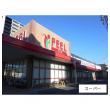 スーパー　フィール花の木店（スーパー）まで511m