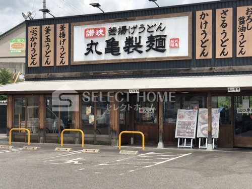 飲食店　丸亀製麺岡崎北（飲食店）まで180m