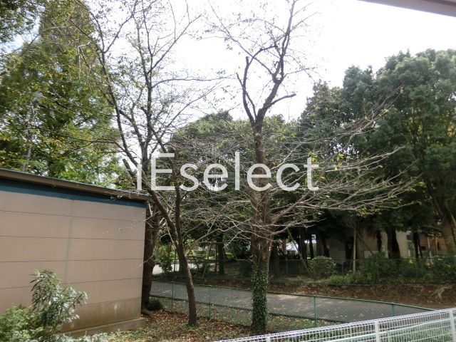 眺望　１階から眺望です。